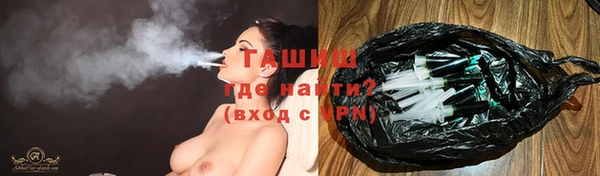 шишки Инта