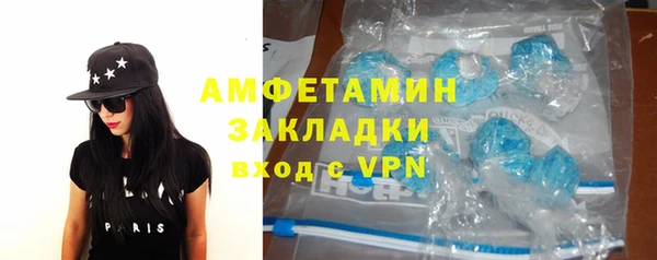 шишки Инта