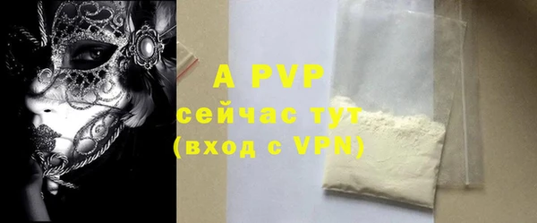 шишки Инта