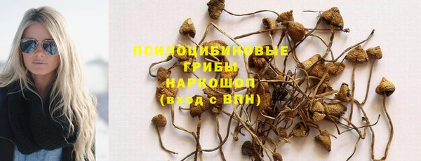 марки nbome Каменногорск
